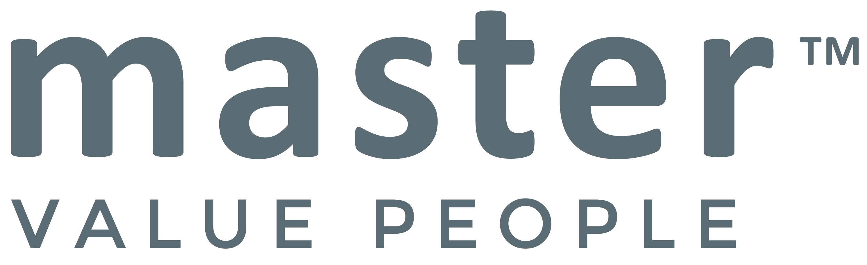 Master Management Poland logo